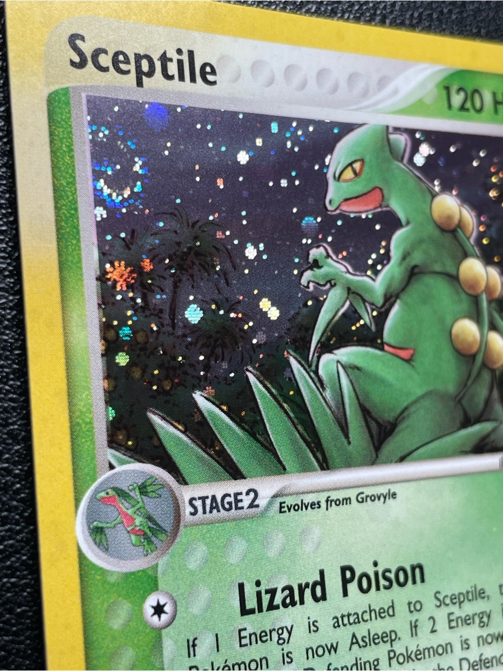 Sceptile #11/Holo/Pokemon Ruby & Sapphire - Picture 6 of 15